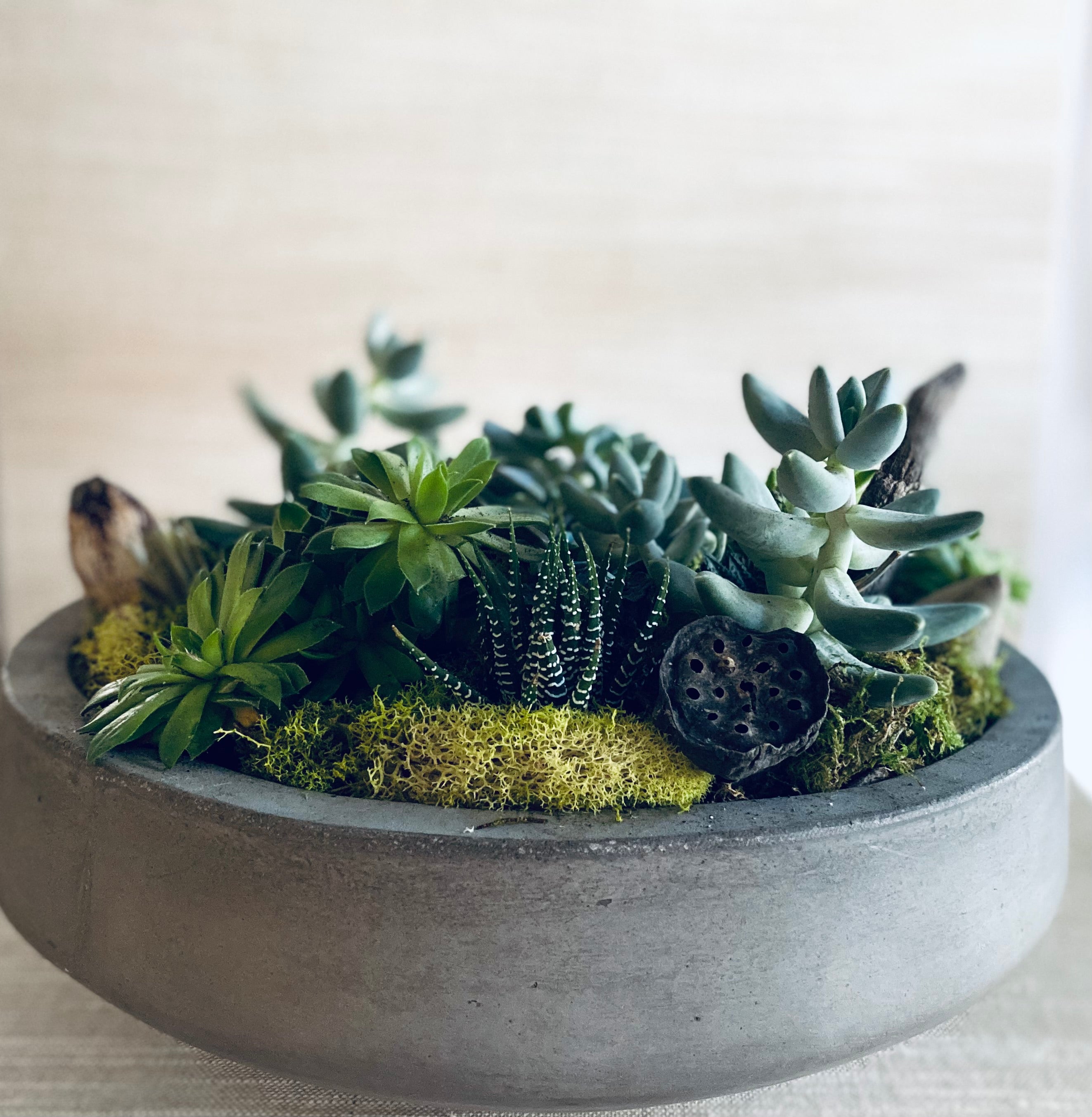 HOUSE BOTANICA ACME FLORAL CO.