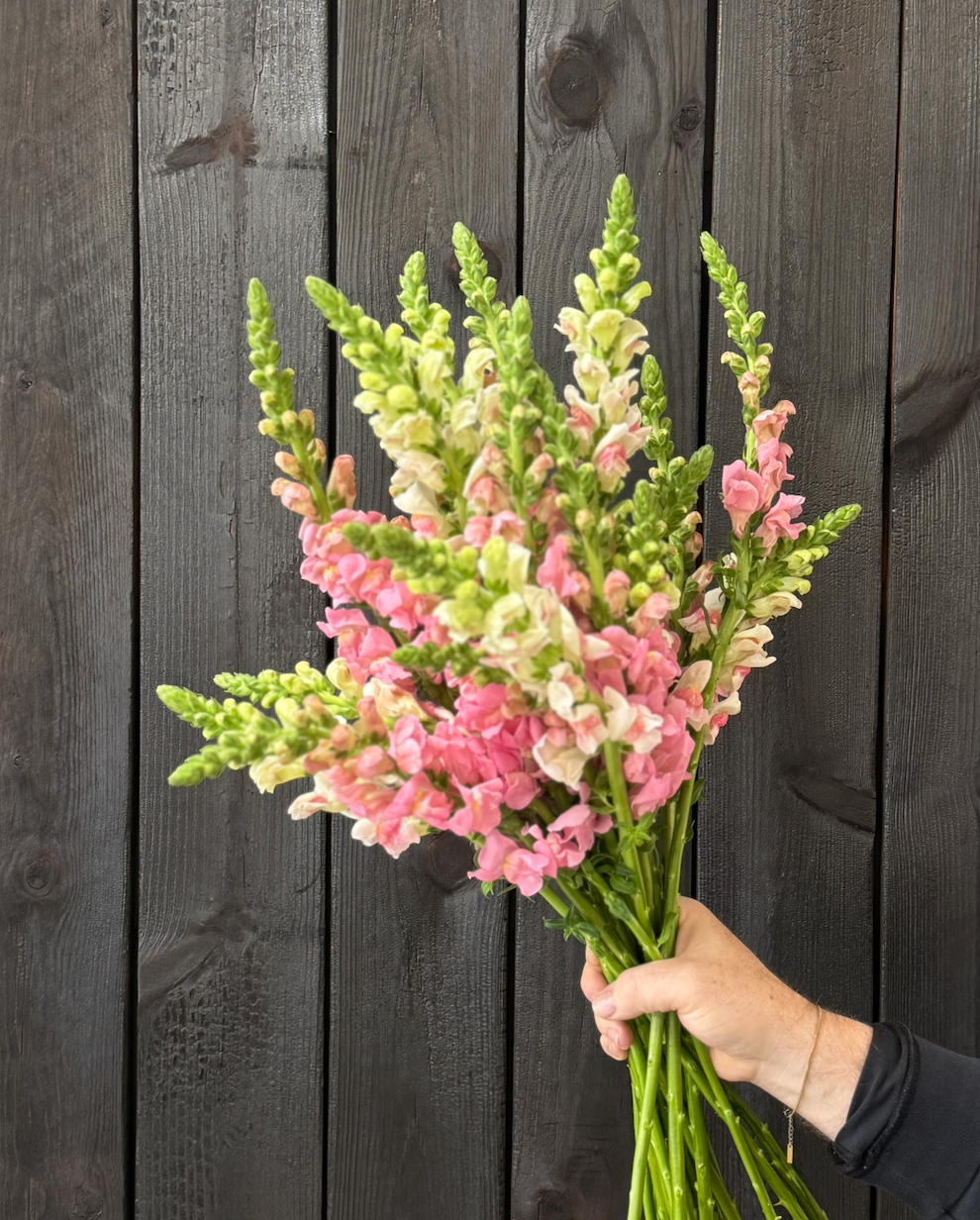 FARMERS BUNCH - FLORALS ACME FLORAL CO.