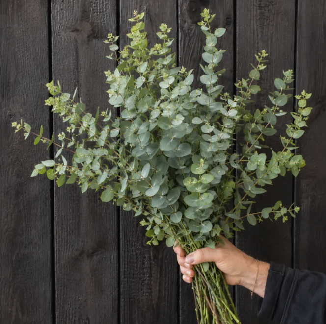 FARMERS BUNCH - BRANCHES ACME FLORAL CO.