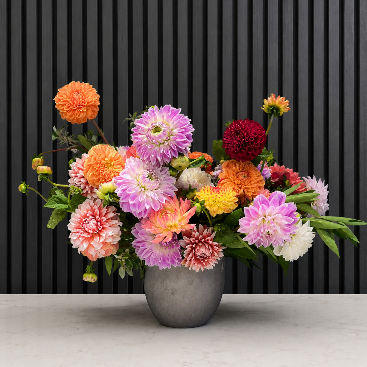 THE DAHLIA DELL