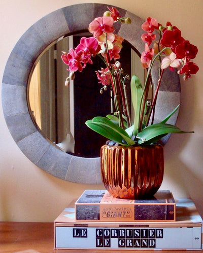 Potted orchid on books with a decorative mirror in the background