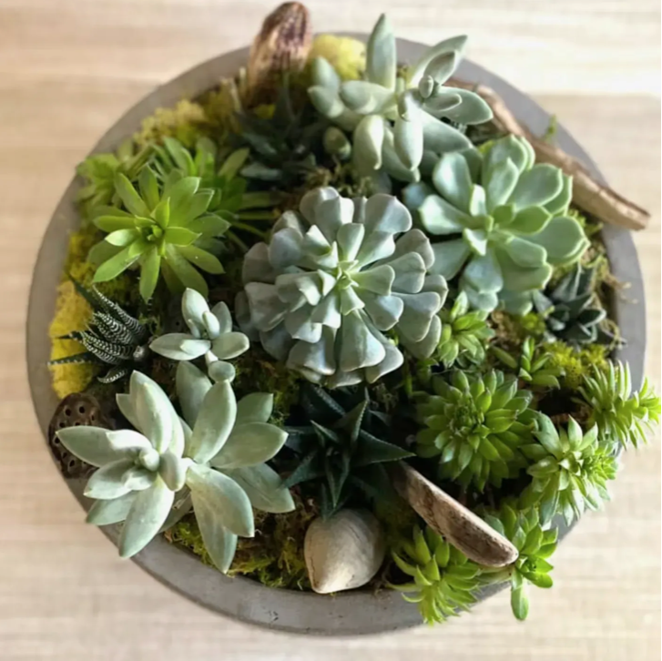 HOUSE BOTANICA ACME FLORAL CO.
