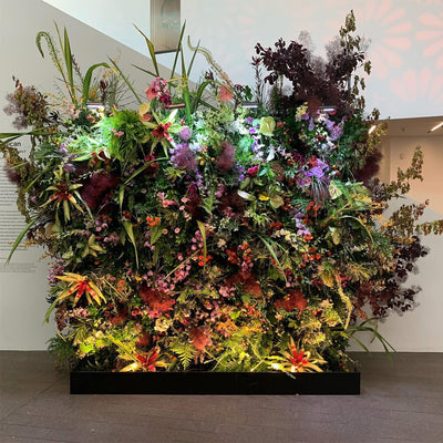 We designed a huge living plant and floral wall at the de young museum in San Francisco golden gate park. orchids, bromeliads, ferns, flax smoke bush. 