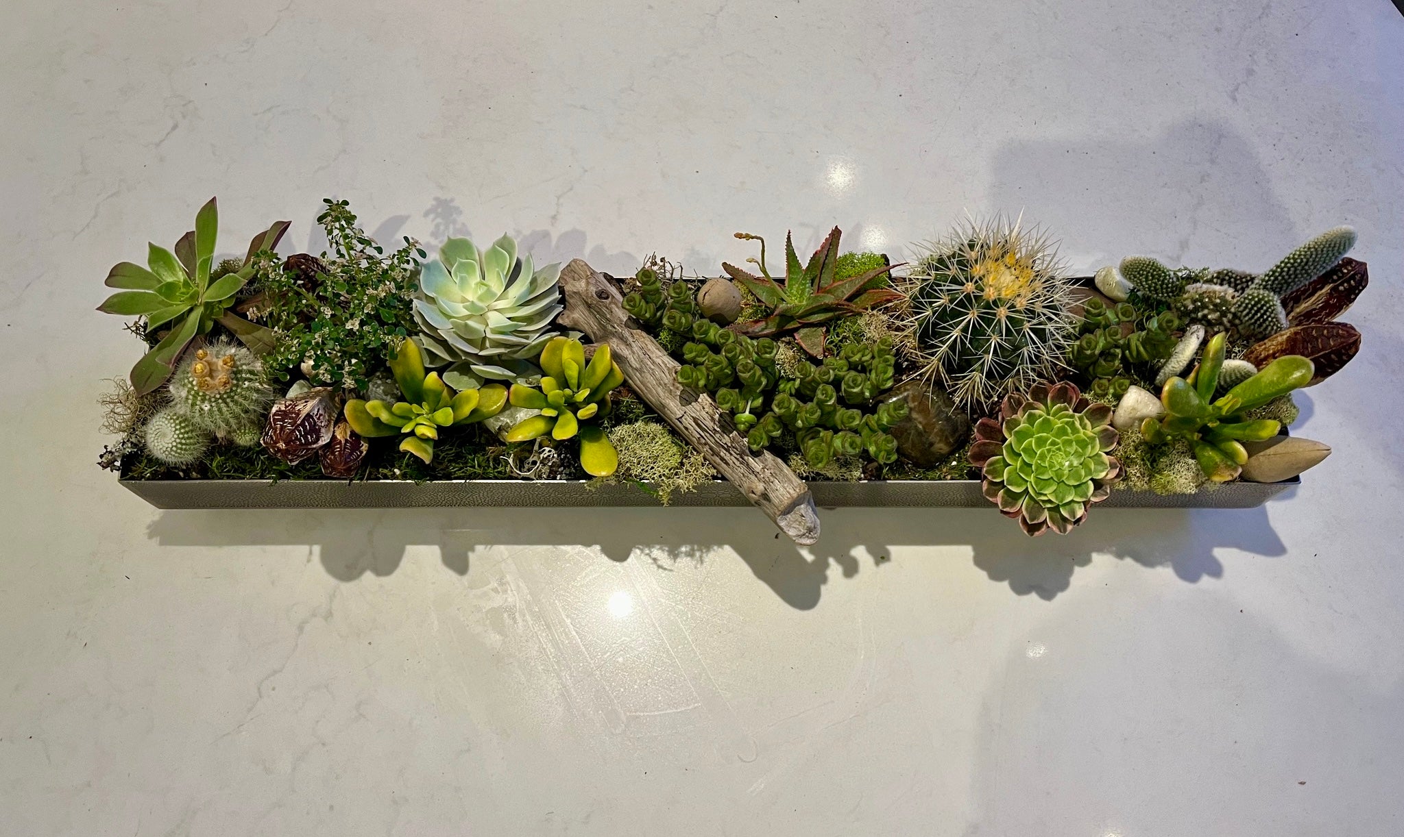 HOUSE BOTANICA ACME FLORAL CO.