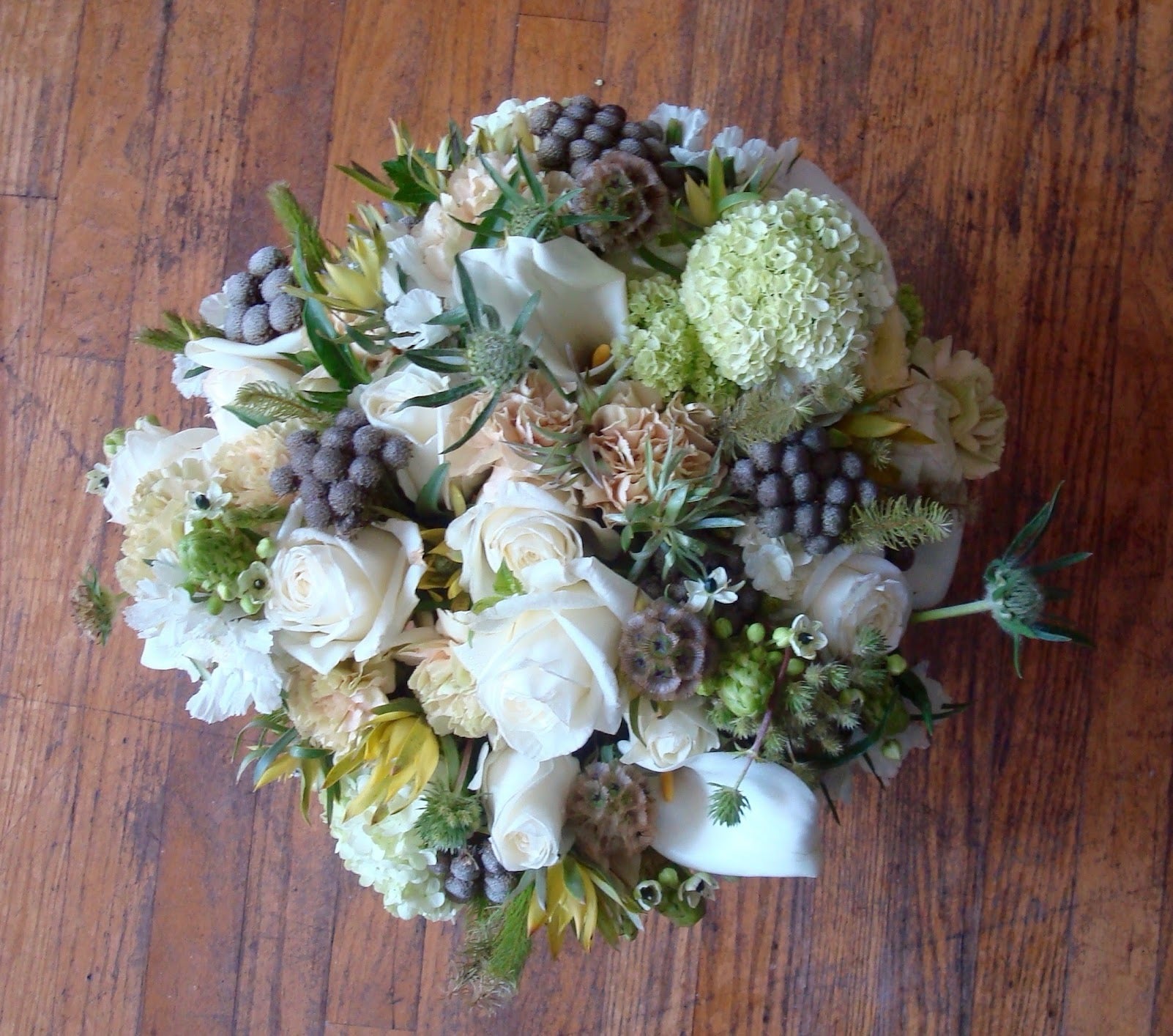 WHITE STUDY ACME FLORAL CO.