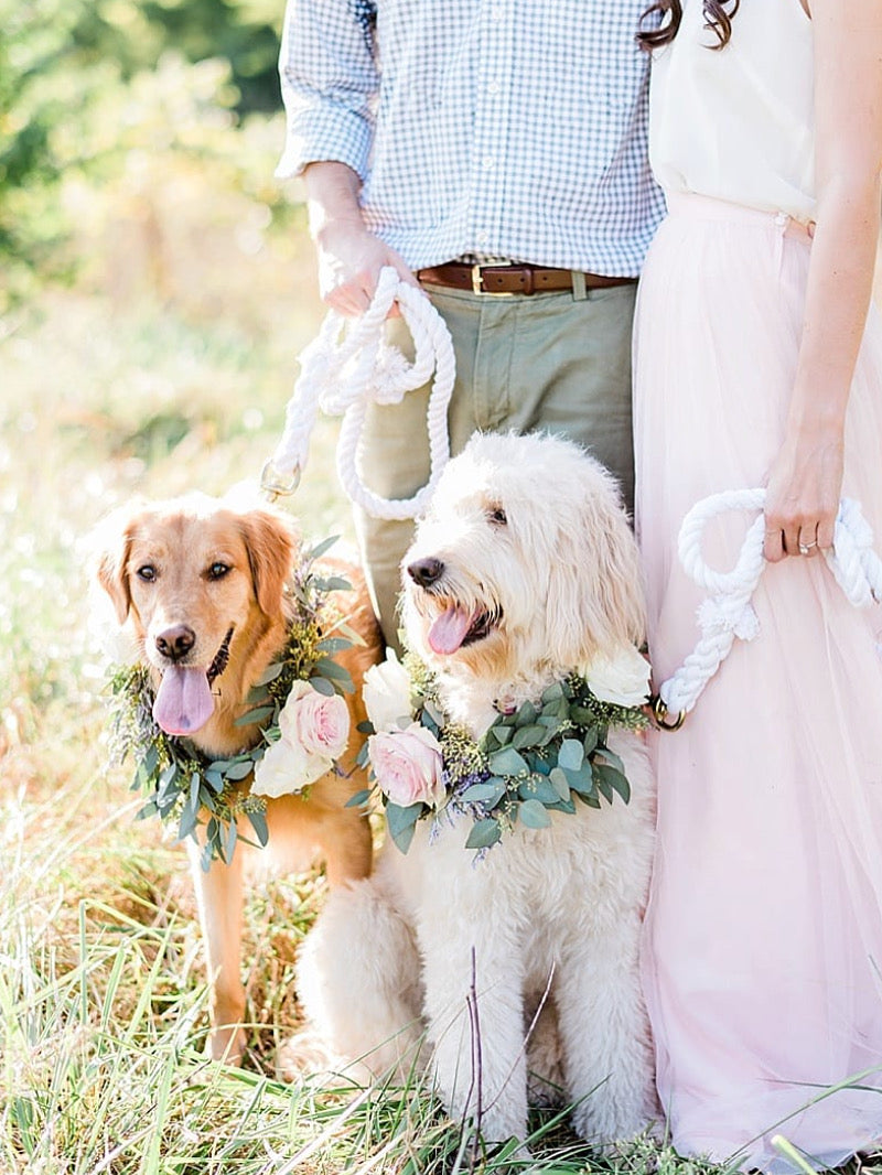 PUPPER COLLAR ACME FLORAL CO.