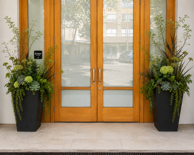 A pair of double wooden entry doors with frosted glass panels, flanked by two tall black planters filled with green foliage and succulents, set against a light beige exterior wall.