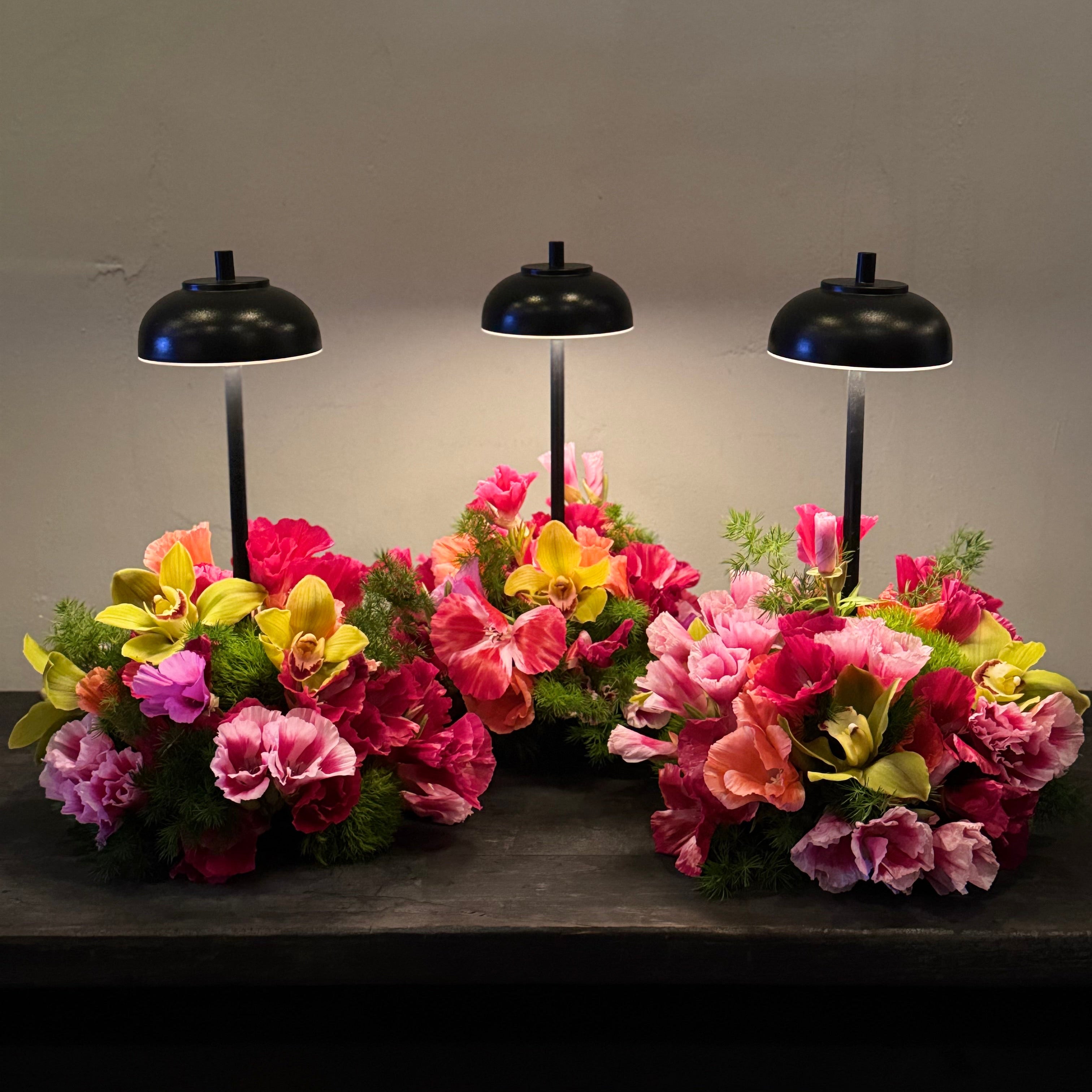 LAMPLIGHT FLORALS ACME FLORAL CO.