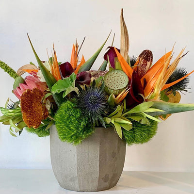 we have dianthus, birds of paradise, thistle, moss balls, shower heads, protea in a modern flower arrangment 